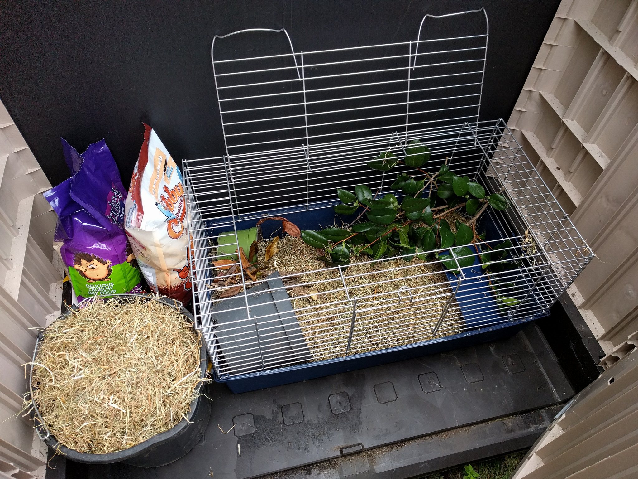 A photo of the hedgehog's temporary home – a cage in a warm shed