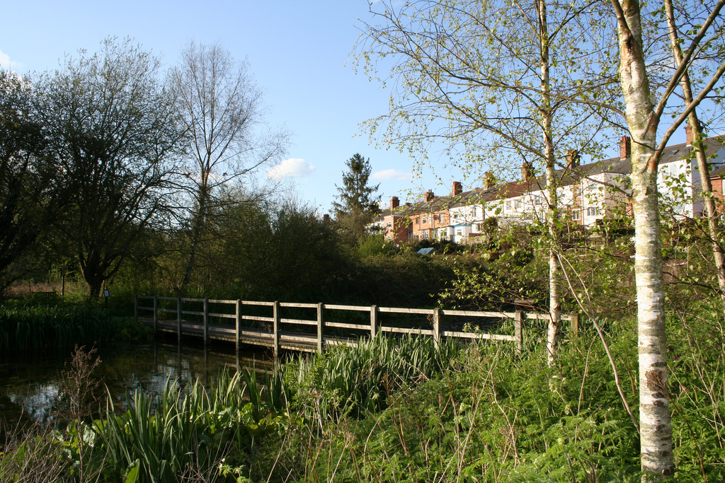 The Bridge in the secret garden